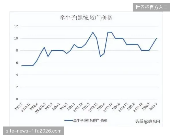 2026年后基于低延迟协议的实时互动分发将主导职业体育的内容矩阵